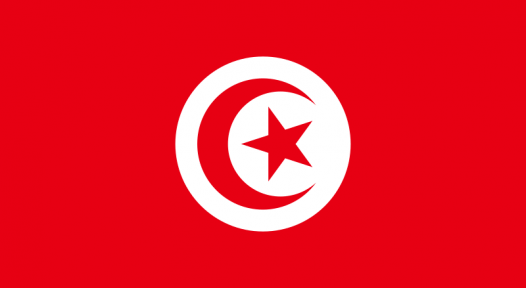 Tunisia: Government Extends PROSOL Support Scheme