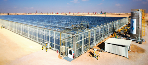  Oman: Construction Starts for World´s Largest Solar Steam Power Plant Miraah