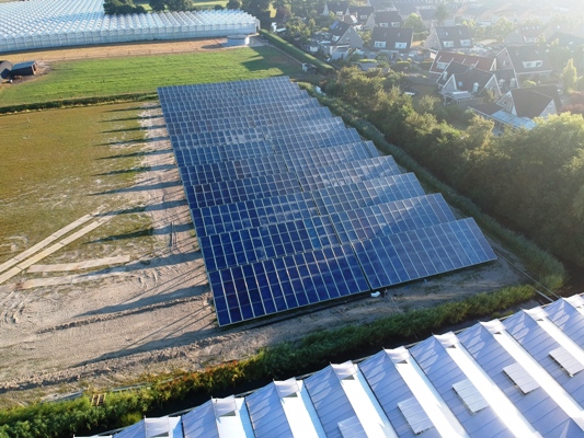  10,000 m² of solar collectors to help freesias survive the cold