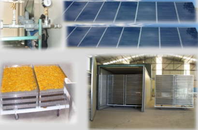  Mexico: Captasol to Enter Industrial Solar Drying Market