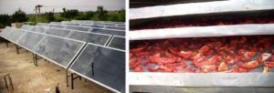 India: Solar Air Drying gives a major Edge to Vegetable Farmers