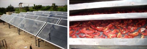  India: Solar Air Drying gives a major Edge to Vegetable Farmers