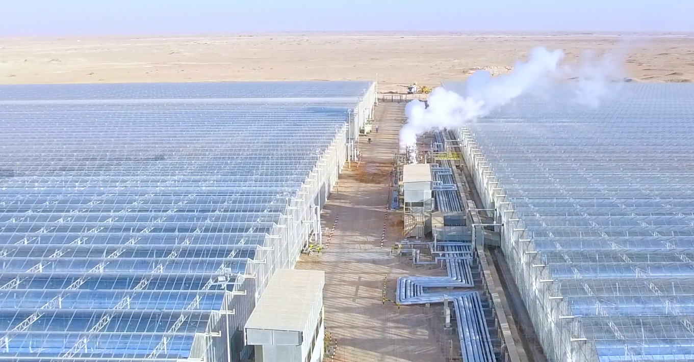 Oman to get 2 GWth solar steam plant for enhanced oil recovery
