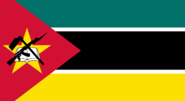 Mozambique: “The government is committed to the development of clean energy technologies”