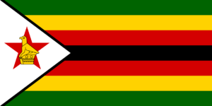 Zimbabwe: “Installing 100 locally produced storage tanks in 2013 would be a big success”