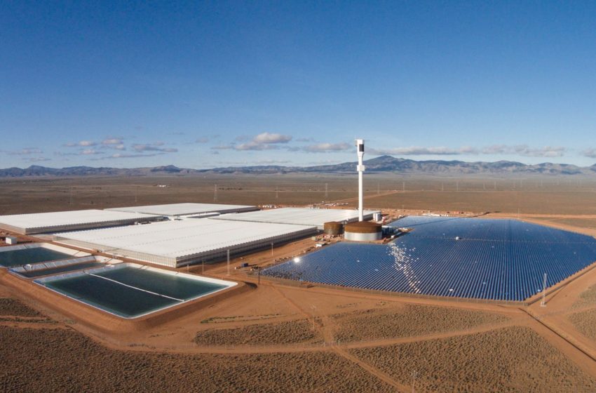  Australia’s strong role in the IEA SHC global solar heat collaboration